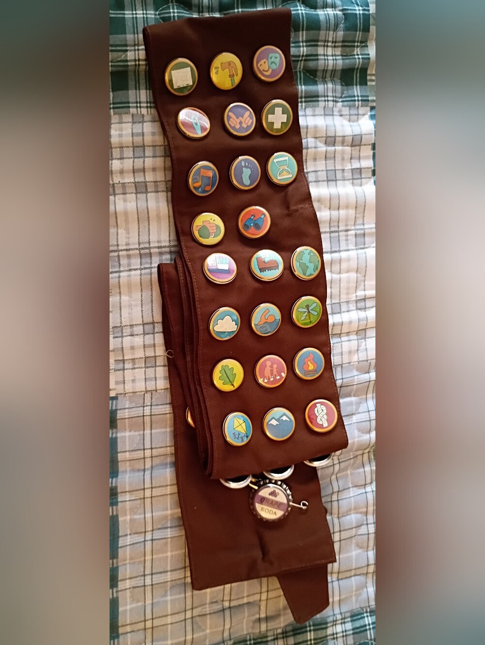 Wilderness Explorers Sash/Badges for Adult Cosplay Russell from Disney Movie Up